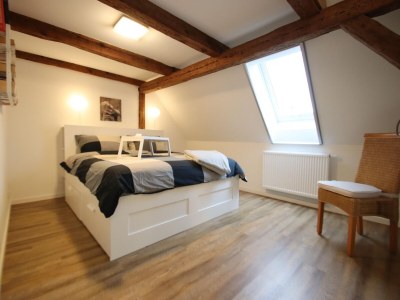 Apartment Bauernhaus am Plauer See mit Kamin - Features photo 22