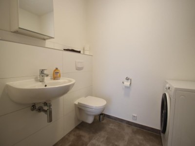 Apartment Bauernhaus am Plauer See mit Kamin - Features photo 26