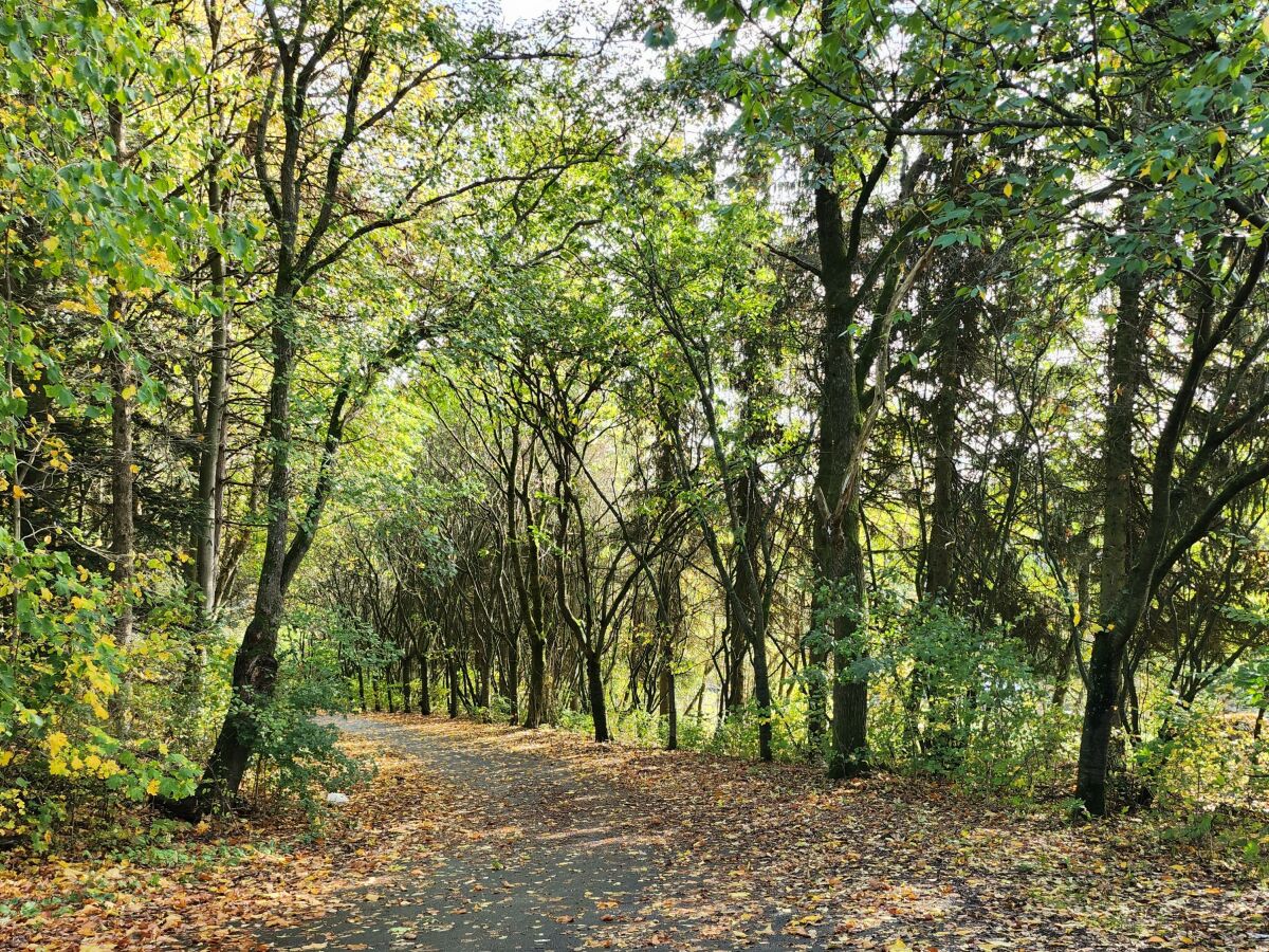 Apartment 4-Bett-Wohnung - Outdoor photo 3