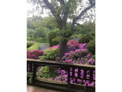 Apartment 4-Bett-Wohnung - Outdoor photo 9