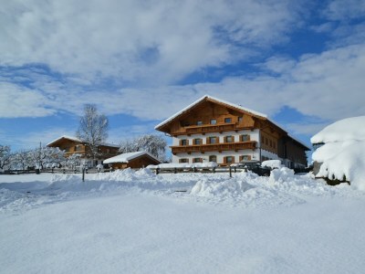 Apartment Appartement mit Gipfelblick in Hopfgarten - Apartment