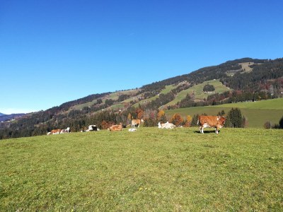 Apartment Appartement mit Gipfelblick - Outdoor photo 10