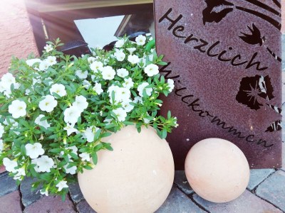 Apartment Appartement mit Gipfelblick - Outdoor photo 12