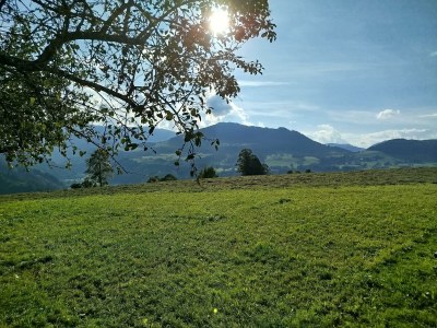 Apartment Appartement mit Gipfelblick - Outdoor photo 25