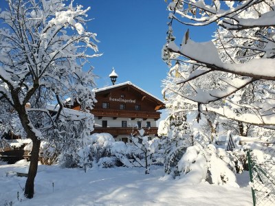 Apartment Ferienwohnung 1 - Outdoor photo 6