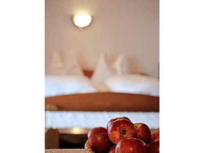 Apartment Ferienwohnung 1 - Outdoor photo 18