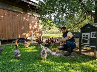 Apartment Ferienwohnung 1 - Outdoor photo 23