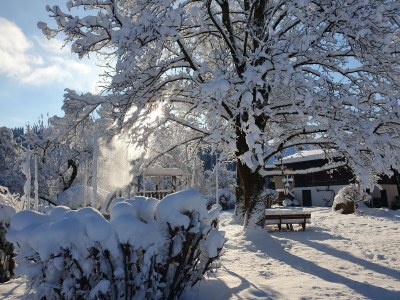 Apartment Ferienwohnung 1 - Outdoor photo 24