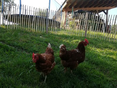 Apartment Appartement mit Panoramablick - Outdoor photo 9