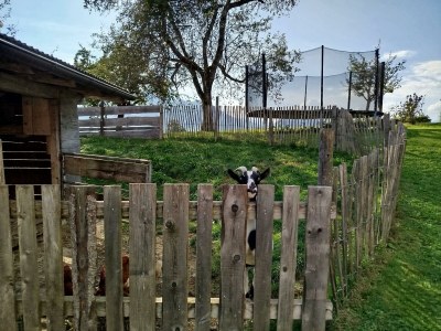 Apartment Appartement mit Panoramablick - Outdoor photo 36