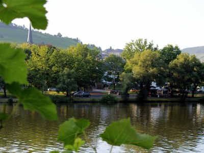 Holiday apartment Kardinalsberg - Environment photo 19