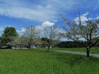 Apartment Ferienwohnung Bergblick - 2 Schlafzimmer - Outdoor photo 8