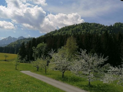 Apartment Ferienwohnung Bergblick - 2 Schlafzimmer - Outdoor photo 9