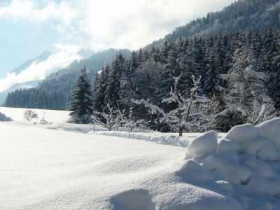 Apartment Ferienwohnung Bergblick - 2 Schlafzimmer - Outdoor photo 16