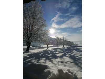 Apartment Ferienwohnung Bergblick - 2 Schlafzimmer - Outdoor photo 18