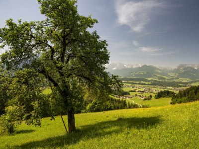 Apartment Ferienwohnung 1 - Outdoor photo 6