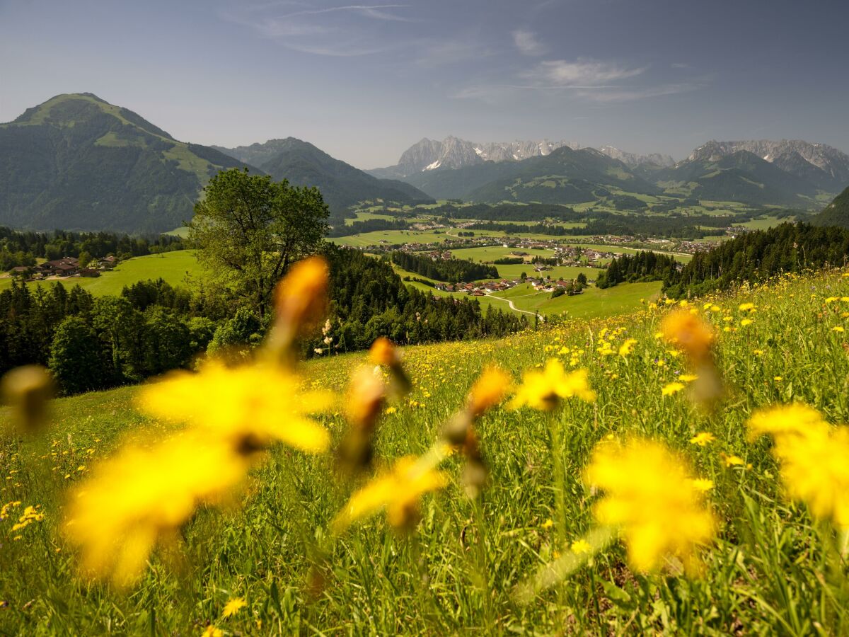 Apartment Ferienwohnung 2 - Outdoor photo 5