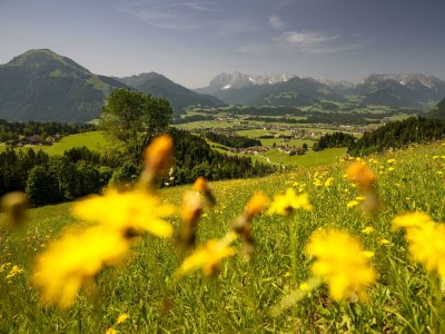Apartment Ferienwohnung 2 - Outdoor photo 5