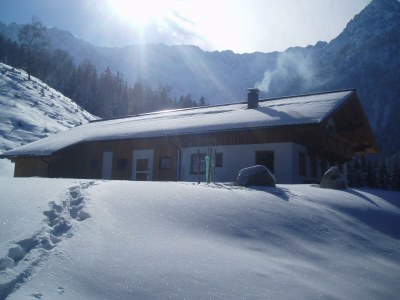 Apartment Goglalm in Walchsee - Apartment