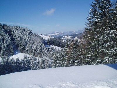 Apartment Goglalm - Outdoor photo 13