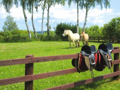 Holiday house Seepark Heidenholz, Plau am See - Outdoor photo 25