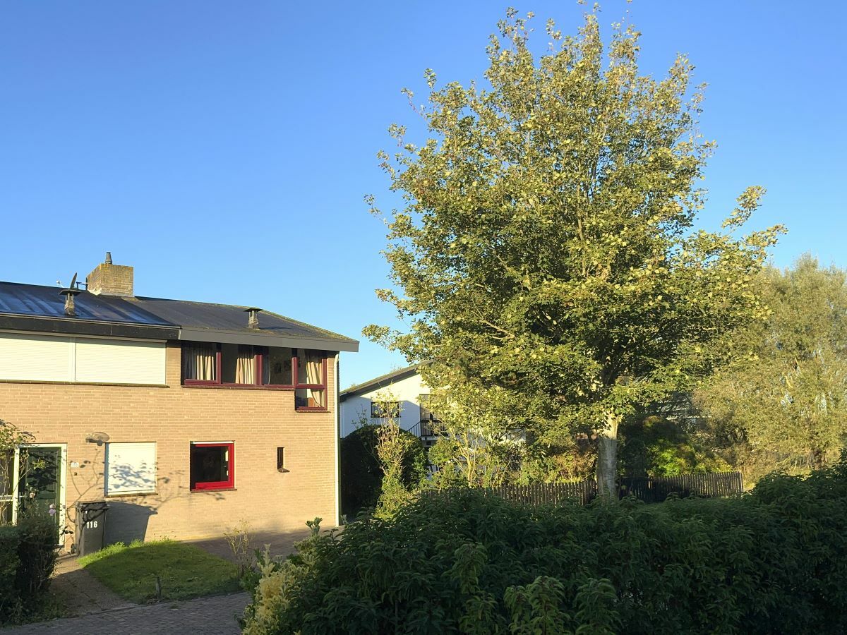 Holiday house Wijk de Brabander 117 - Outdoor photo 3