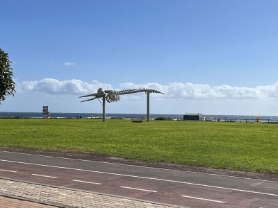 Bungalow Casa SolÃ¨a - Environment photo 23