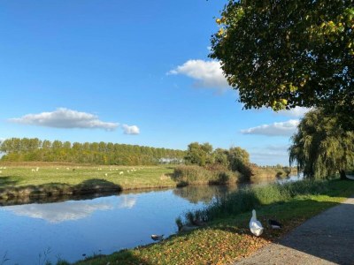 Holiday house Ferienhaus in Scherpenisse am Oosterschelde - Environment photo 33