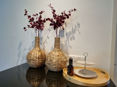 Holiday house Villa Duyncoogh - Features photo 21