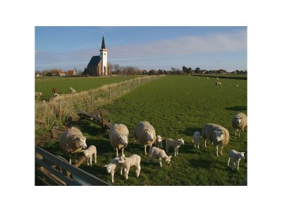 Holiday house Villa Duyncoogh - Environment photo 24