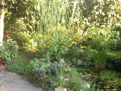 Holiday apartment MillstÃ¤tter Lake: Dogs & children welcome - Outdoor photo 5