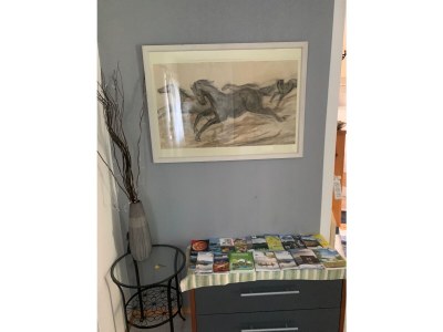 Holiday apartment MillstÃ¤tter Lake: Dogs & children welcome - Features photo 17