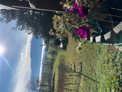 Holiday apartment MillstÃ¤tter Lake: Dogs & children welcome - Environment photo 21