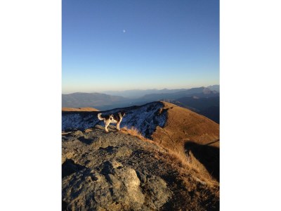 Holiday apartment MillstÃ¤tter Lake: Dogs & children welcome - Environment photo 22