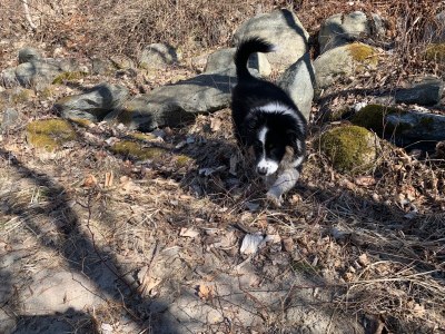 Holiday apartment MillstÃ¤tter Lake: Dogs & children welcome - Environment photo 23