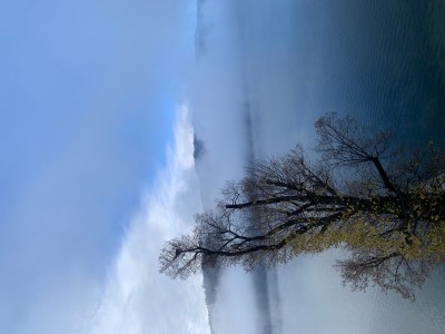 Holiday apartment MillstÃ¤tter Lake: Dogs & children welcome - Environment photo 25