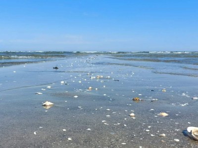 Holiday house 6 Personen Ferienhaus in Hals-By Traum - Outdoor photo 40