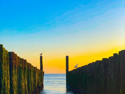 Holiday apartment OK47 Holiday Apartment Lux Dune - Environment photo 25