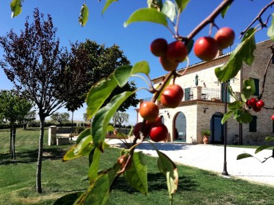 Holiday house Casa Ansietta - Outdoor photo 11