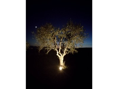 Holiday house Casa Ansietta - Outdoor photo 12