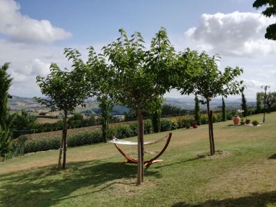 Holiday house Casa Ansietta - Environment photo 27