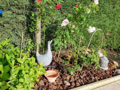 Holiday house Einfamilienhaus in Carsac-Aillac - Outdoor photo 42