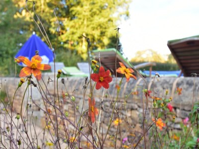 Holiday house Schönes Ferienhaus mit beheiztem Pool - Outdoor photo 32