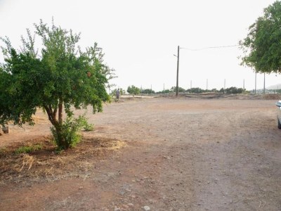 Villa Villa Despoina in Malades - Environment photo 39