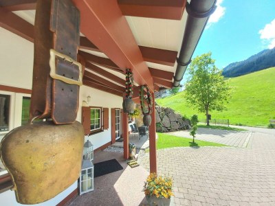 Apartment Ferienwohnung Heuberg  - 1 Schlafzimmer - Outdoor photo 10