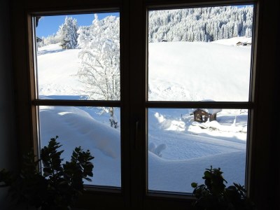 Apartment Ferienwohnung Heuberg  - 1 Schlafzimmer - Outdoor photo 43