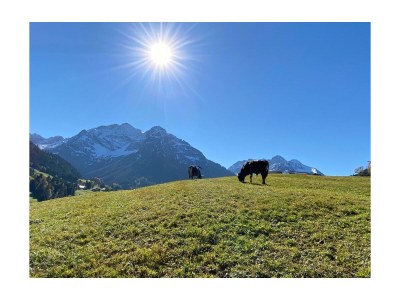 Apartment Ferienwohnung EG mit 1 Schlafraum - Outdoor photo 19