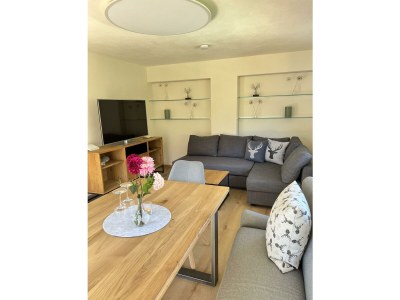 Apartment Ferienwohnung EG mit 1 Schlafraum - Features photo 45