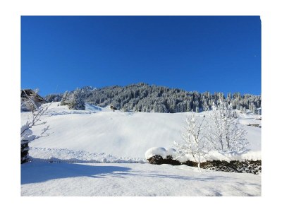 Apartment Ferienwohnung Schlössle , 1 Schlafzimmer - Outdoor photo 7