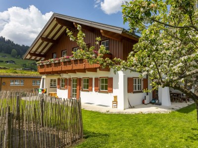 Apartment Ferienwohnung Schlössle , 1 Schlafzimmer - Outdoor photo 31